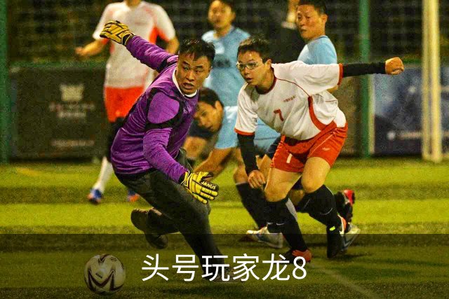 关于头号玩家龙8
